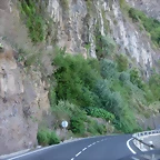 DSCN7302