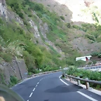 DSCN7303