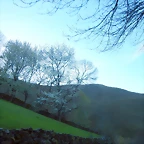 DSCN9119