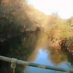 DSCN5772