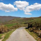 DSCN5722