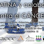 PATINA CONTRA EL CANCER