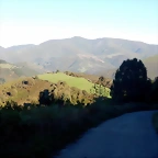DSCN0662