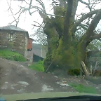 DSCN6336