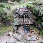 DSCN1898