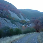 DSCN6948