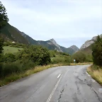 DSCN6423