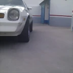IMAG0556