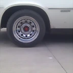 IMAG0557