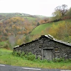 DSCN0585