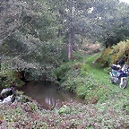 DSCN5357