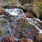 DSCN6699