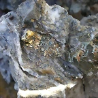 IMGP5881