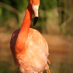 Zoo de Barcelona 09-02-11 236