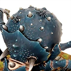 m1550159a_SpiderBack_1XL