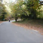 DSCN4736