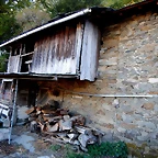 DSCN7706