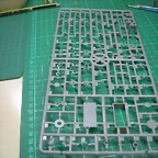 DSCN2032