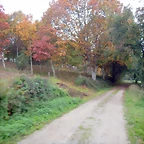 DSCN9155