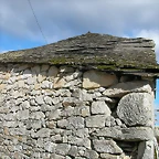 DSCN6419