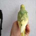 20190720_111838