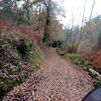 DSCN0728