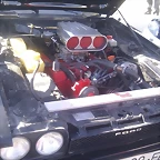 IMAG0258