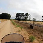 DSCN6459