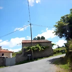 DSCN7750