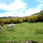 DSCN8282