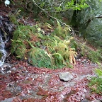 DSCN0783