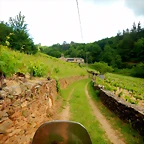 DSCN5245