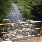 DSCN5921