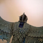 FENIX BUENO (5)