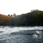 DSCN9010