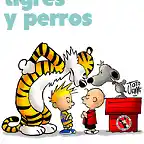 tigres y perros