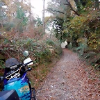 DSCN0722