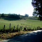 P1010141