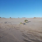 DSCN1015