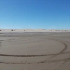 DSCN1006
