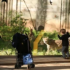 Zoo de Barcelona 07-04-11 646