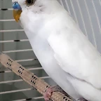 20190518_131744