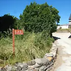 DSCN3634