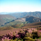 DSCN5263