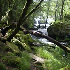 DSCN2803