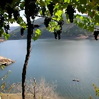 DSCN7559