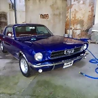 IMG-20181114-WA0003
