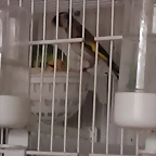 IMAG1158