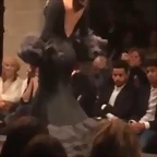 Pasarela 15-2-2015 (7)
