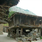 DSCN3921